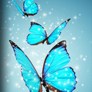 Meet your Posher, Светлана